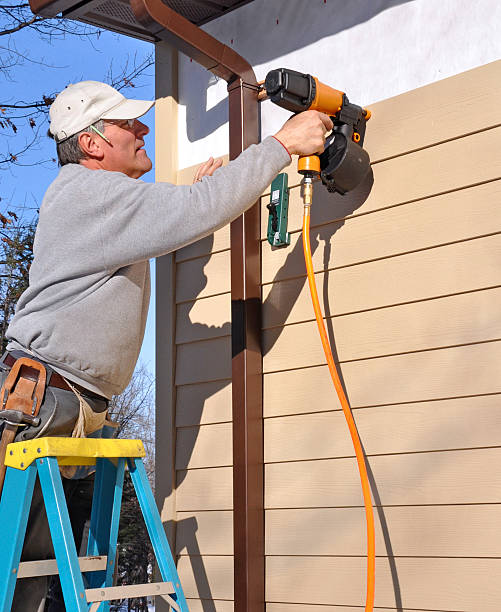 Best Historical Building Siding Restoration  in Payson, IL